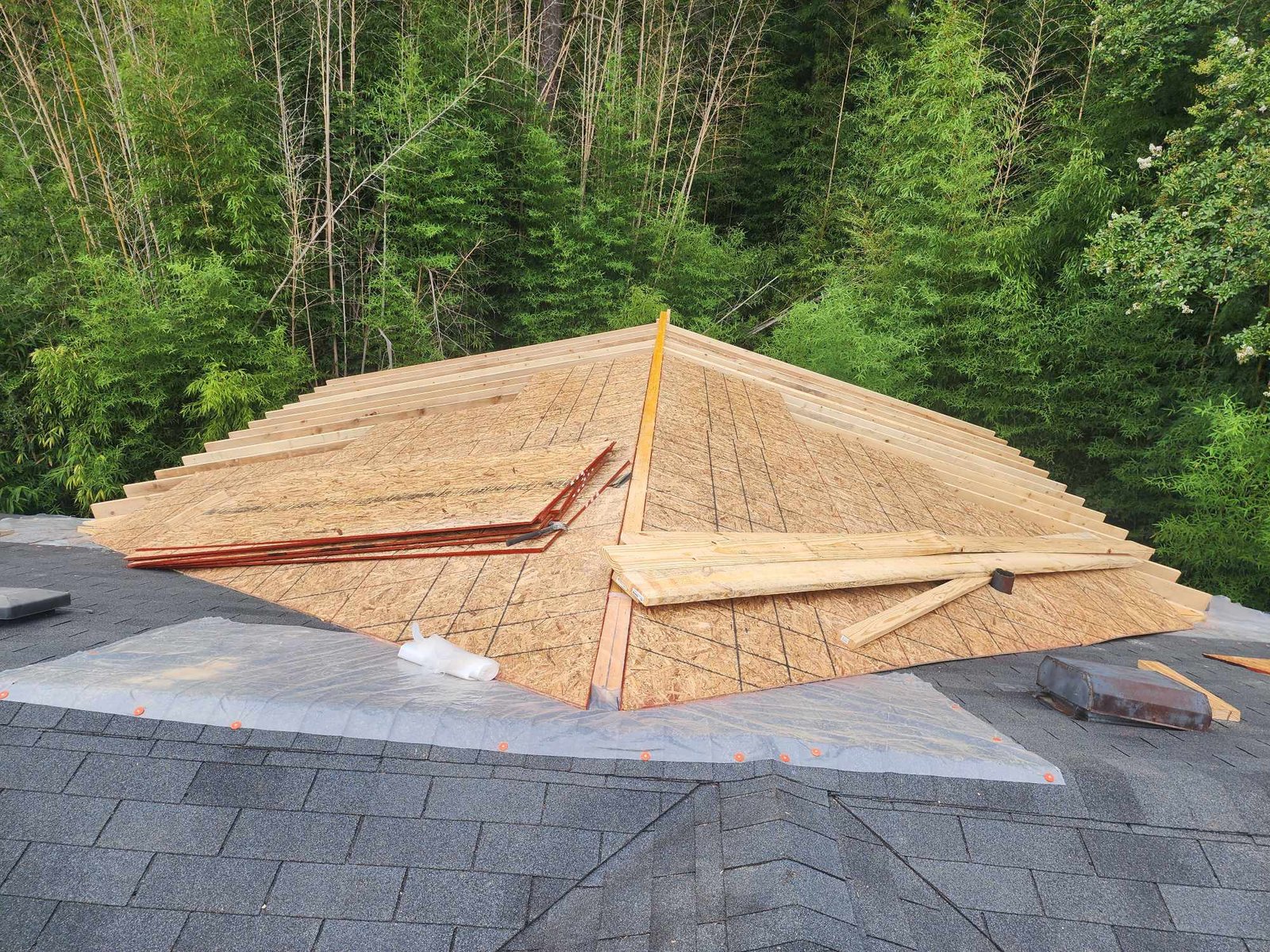 450903241_957115946189118_5459687099018437756_n