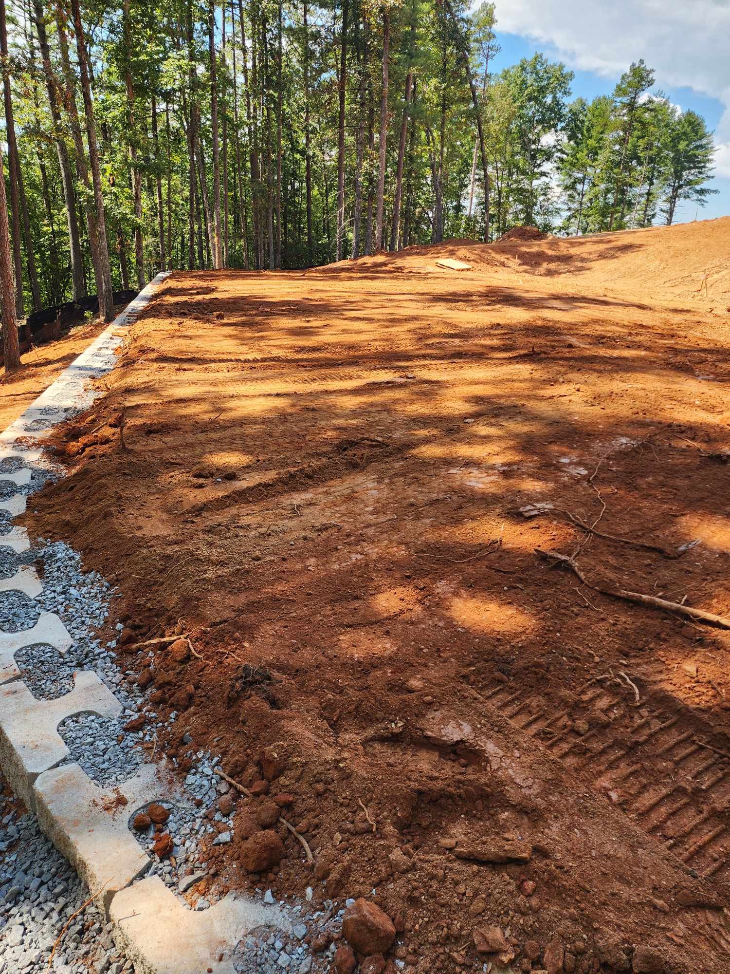 459017203_393879520483215_6958646743861886244_n