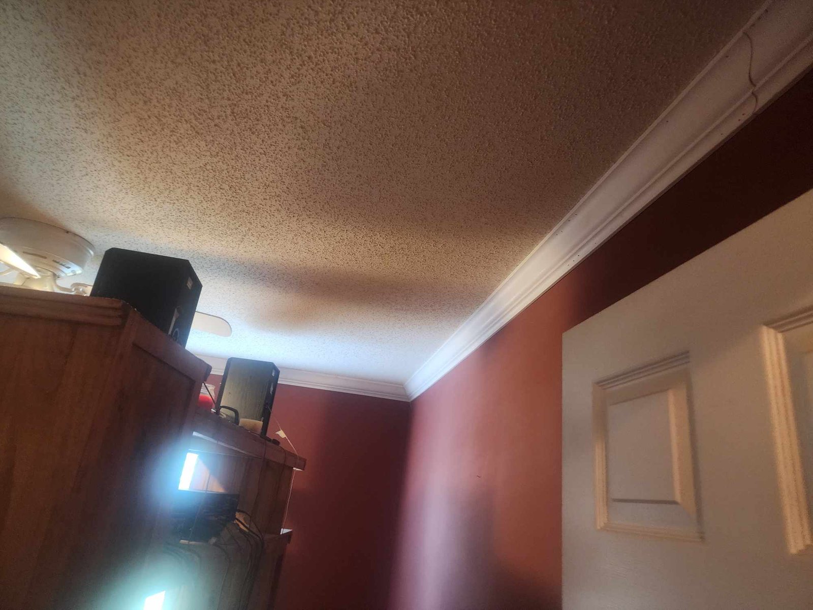 459580138_2647151872140951_3259507909460114774_n