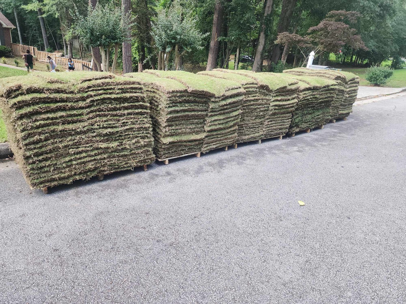 459588616_1587643922158388_2601903890296770615_n