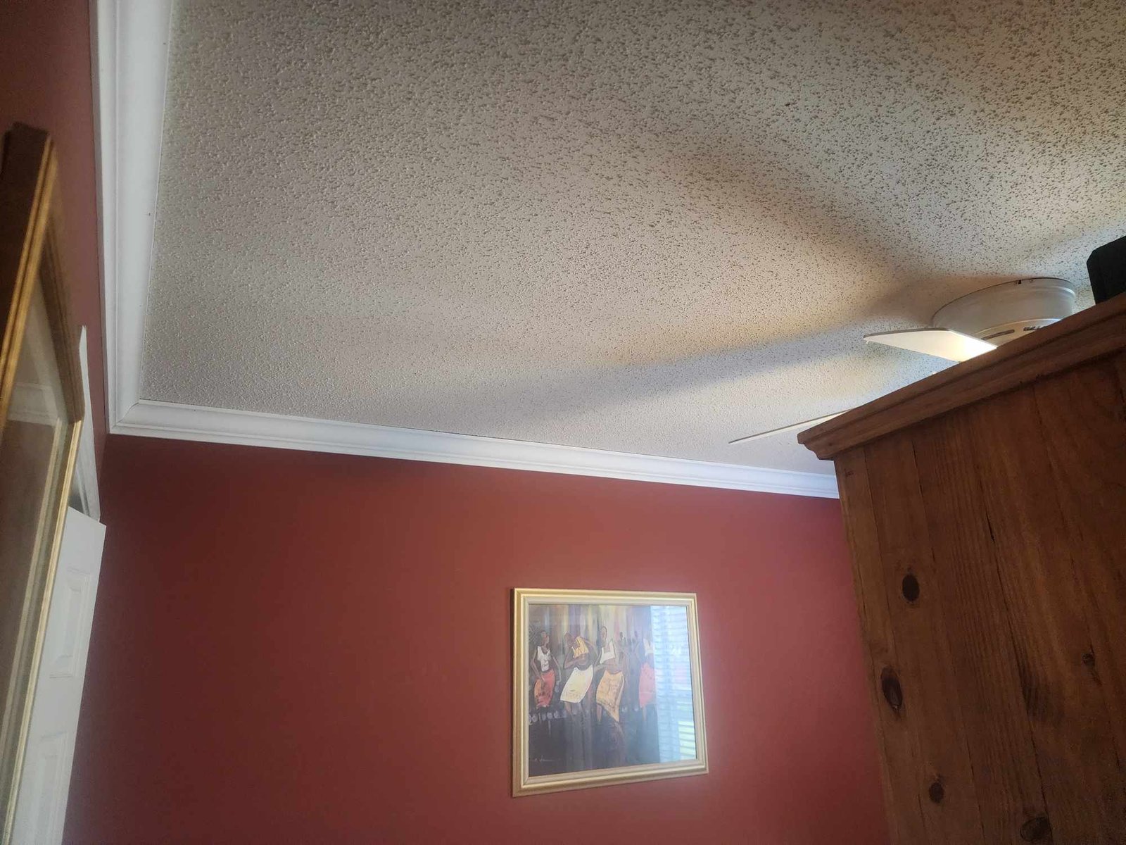 460391206_1660091004566786_5510443957323583095_n