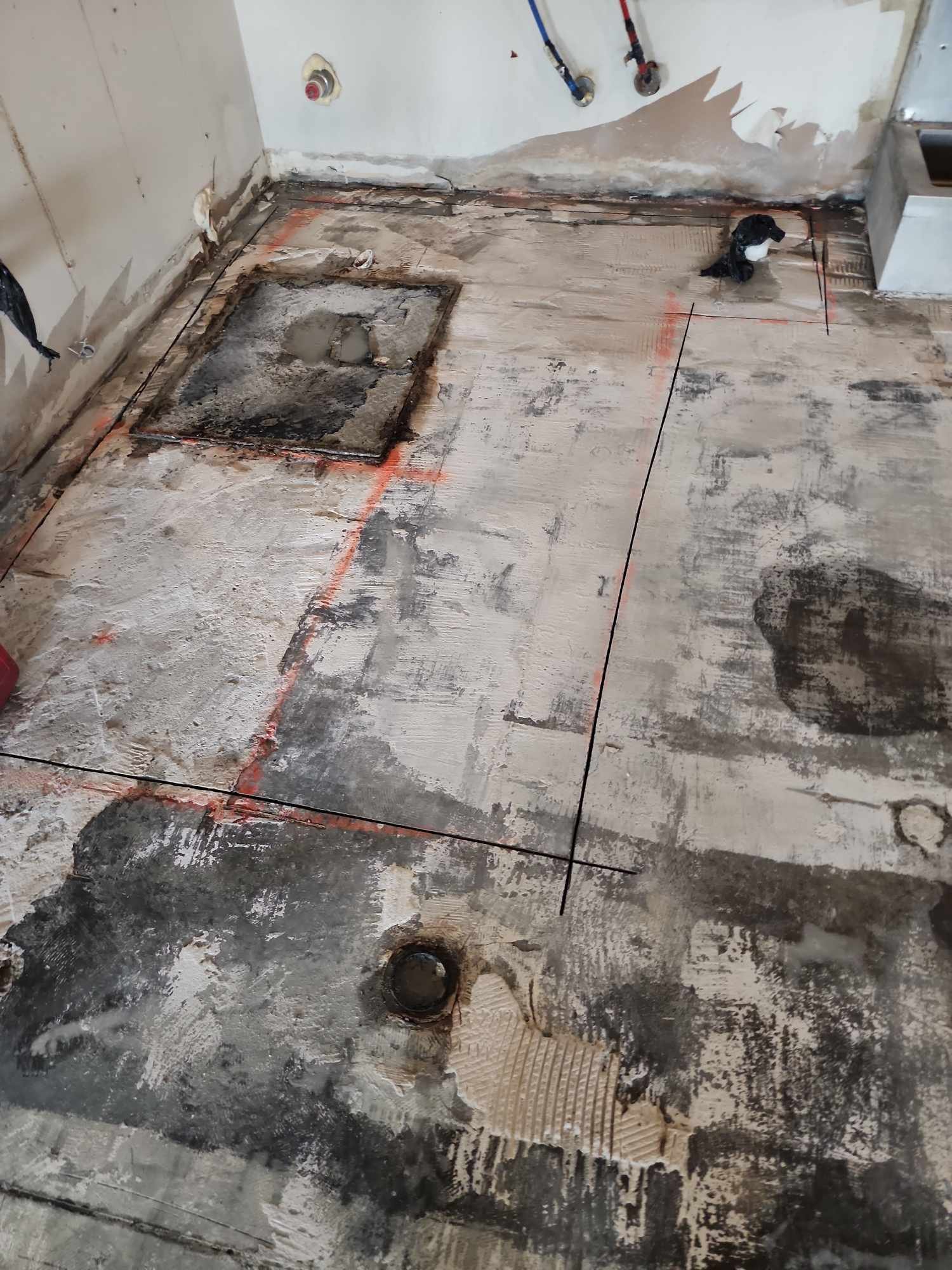 461047644_866811995134532_311392165302637839_n